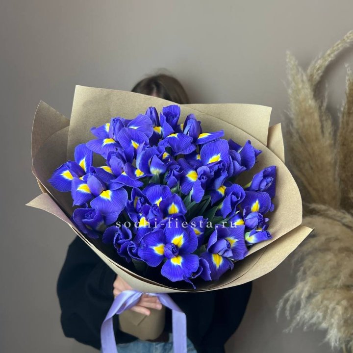 Ирисы в Сириусе