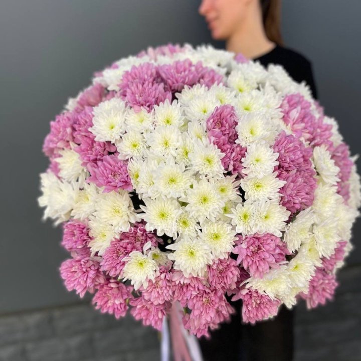  Букет 25 хризантем микс в Сириусе