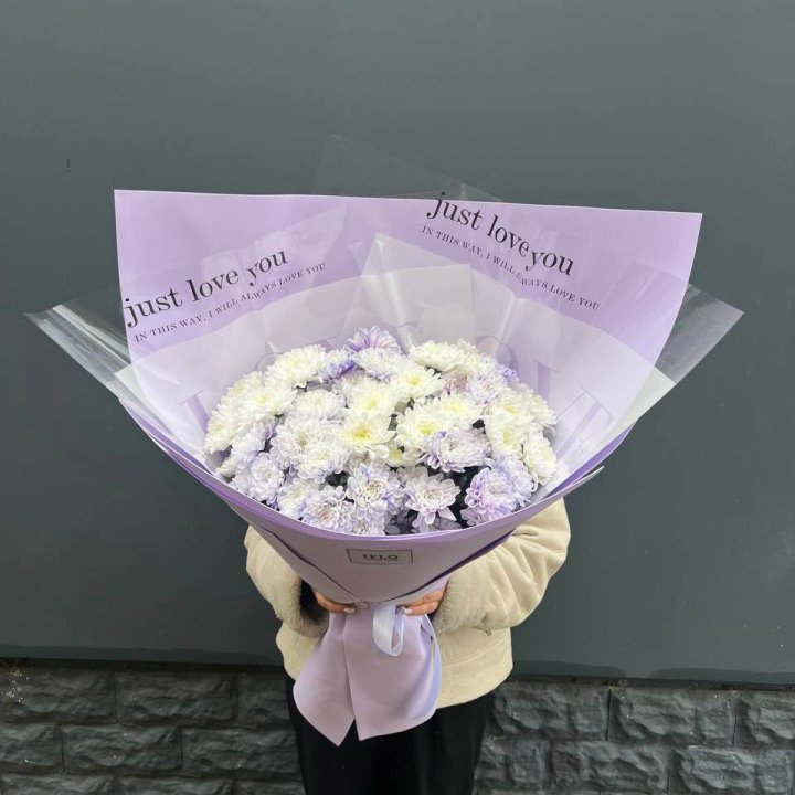 9 воздушных хризантем в Сириусе