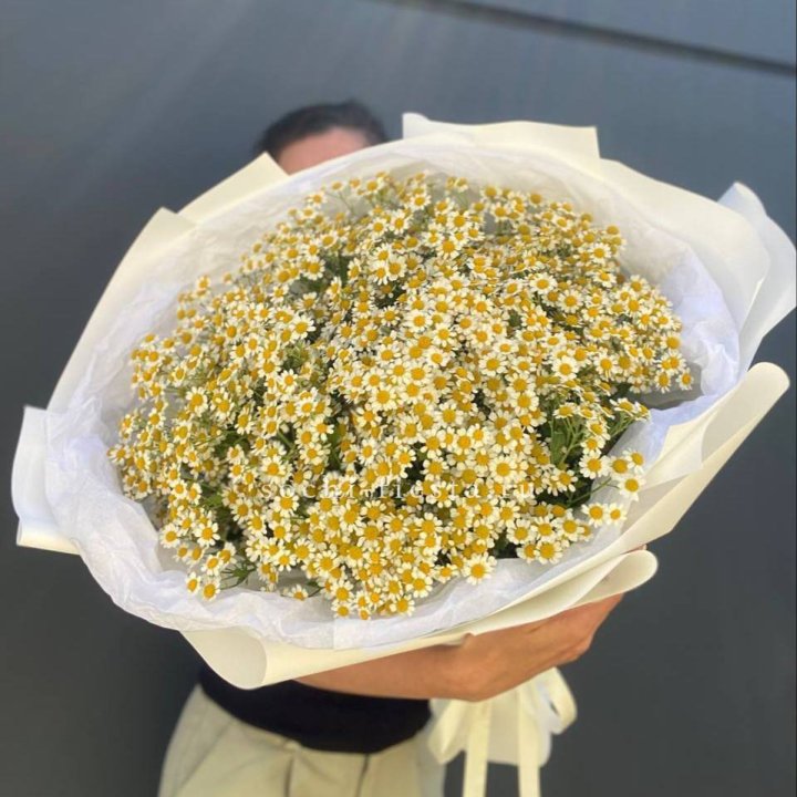 Букет ромашек №2 в Сириусе