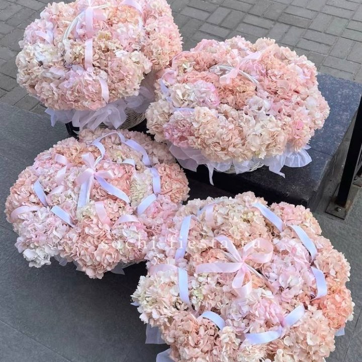 4 корзины из 15 гортензий в Сириусе