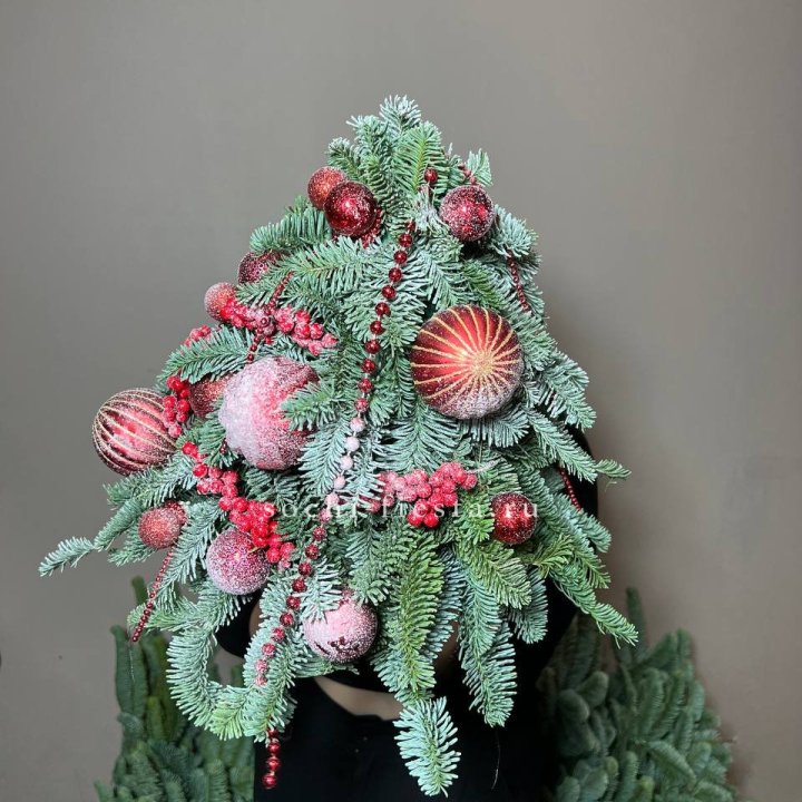 Ёлка красная в Сириусе