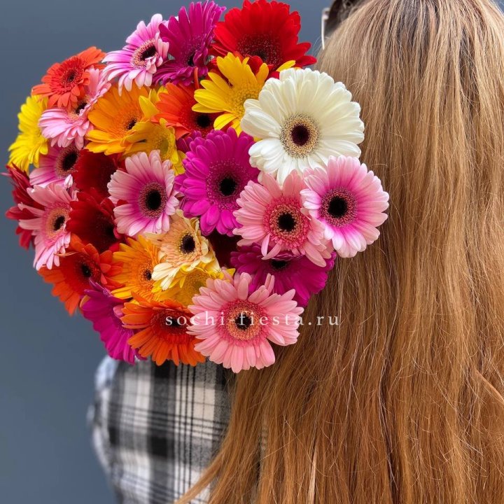 Охапка гербер  в Сириусе