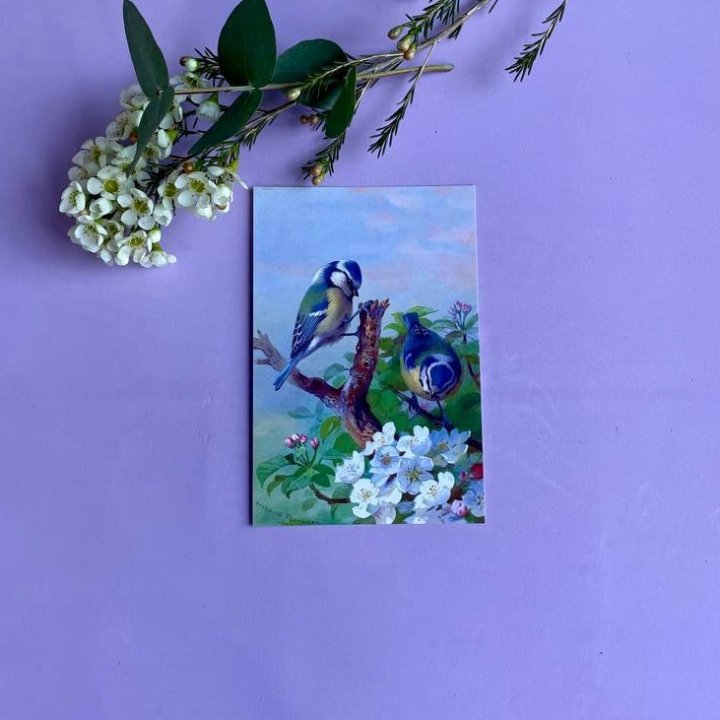 Открытка к букету "Птицы" в Нижнем Новгороде