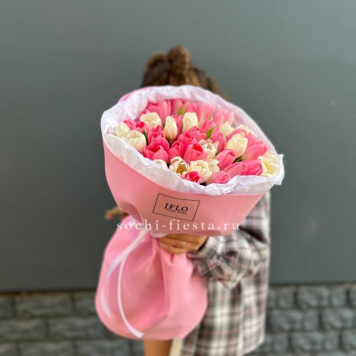 51 бело-розовый тюльпан в Сириусе