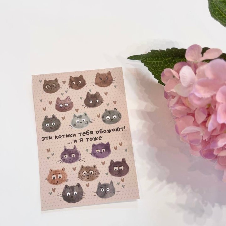 Открытка к букету "Котики" в Нижнем Новгороде