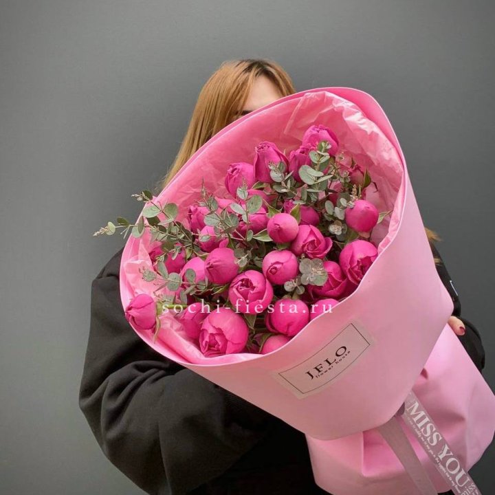 Лагуна в Сириусе