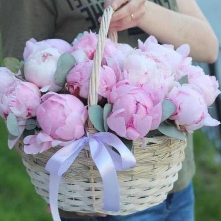 15 пионов в корзине в Нижнем Новгороде