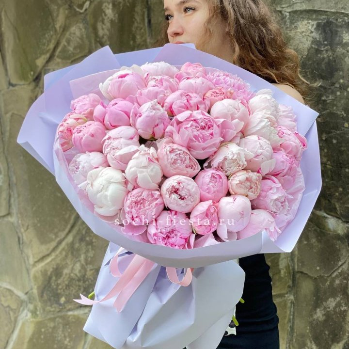 39 нежных пионов в Сириусе