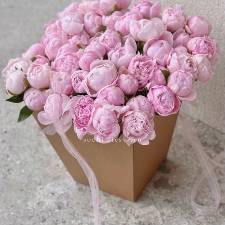 49 пионов в крафт коробке в Сириусе