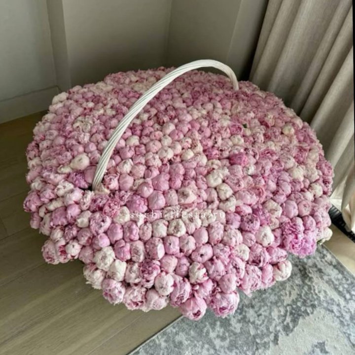 Корзина 555 пионов в Сириусе