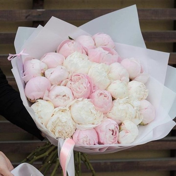 29 пионов в Нижнем Новгороде