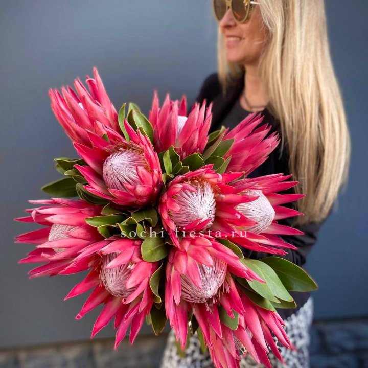 Протея штучно с доставкой в Сириусе