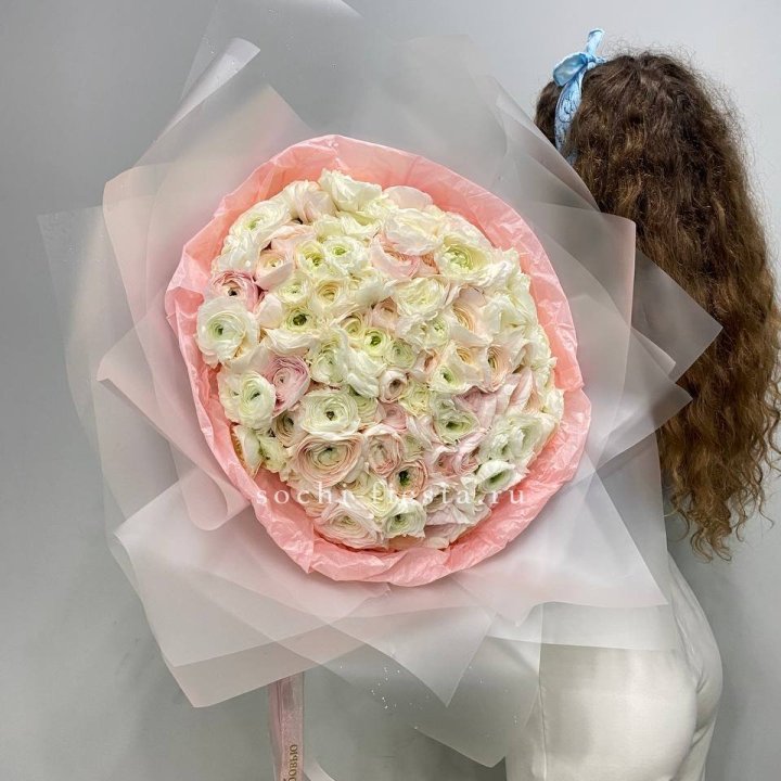 113 ранункулюсов  в Сириусе