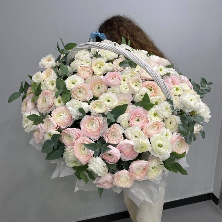 Ранункулюсы в корзине в Сириусе