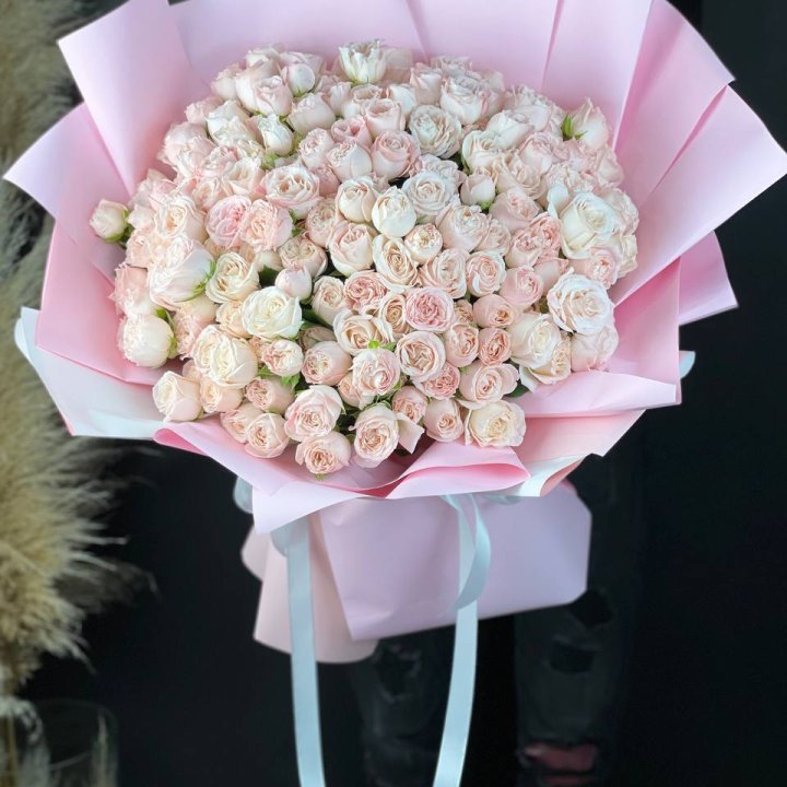 51 бомбастик  в Сириусе