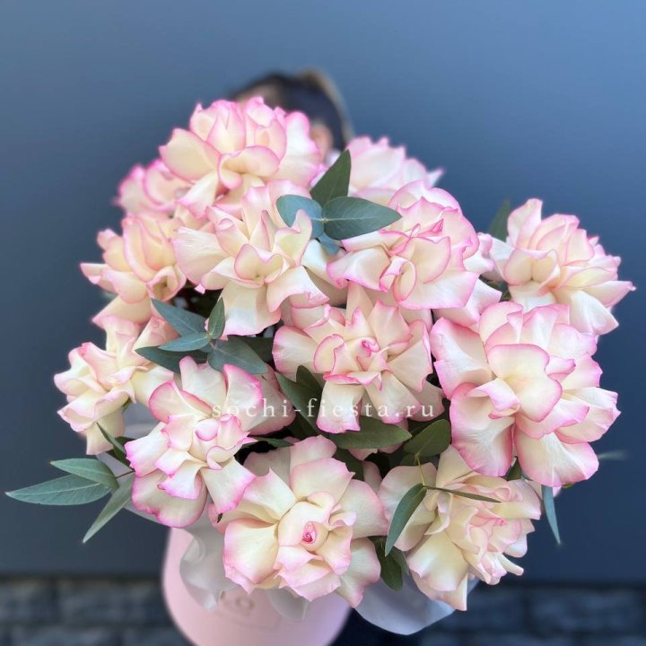 15 Французских роз Джумилия в боксе в Сириусе