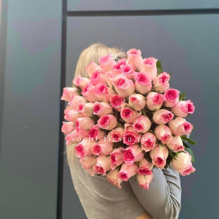 51 розовая роза в Сириусе