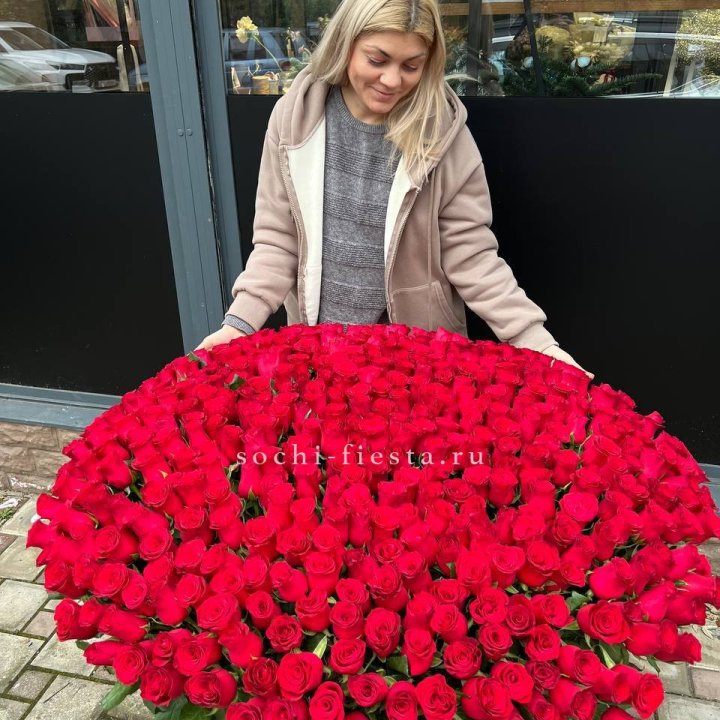 501 красная роза в корзине в Сириусе