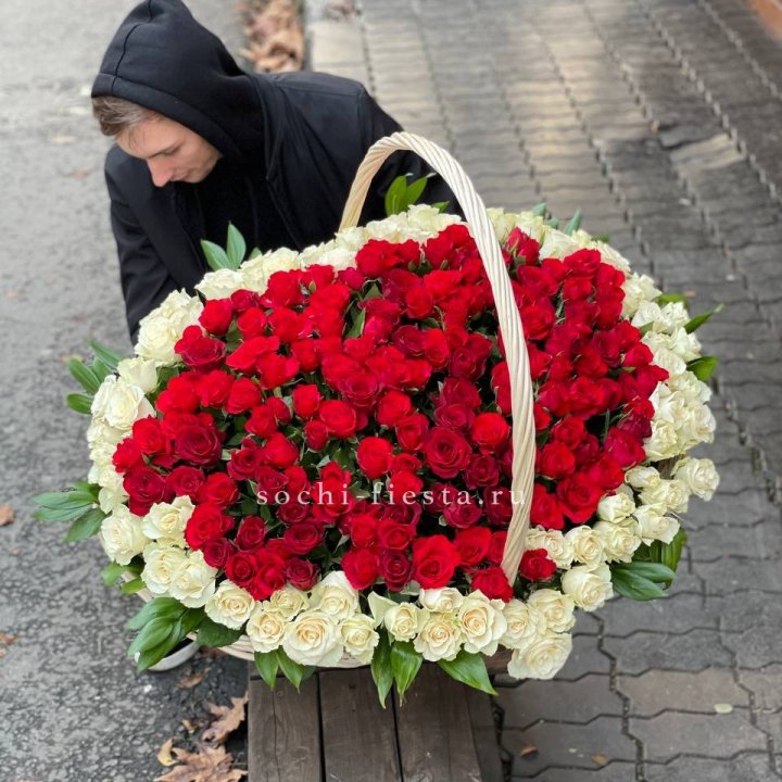 201  роза в корзине   в Сириусе