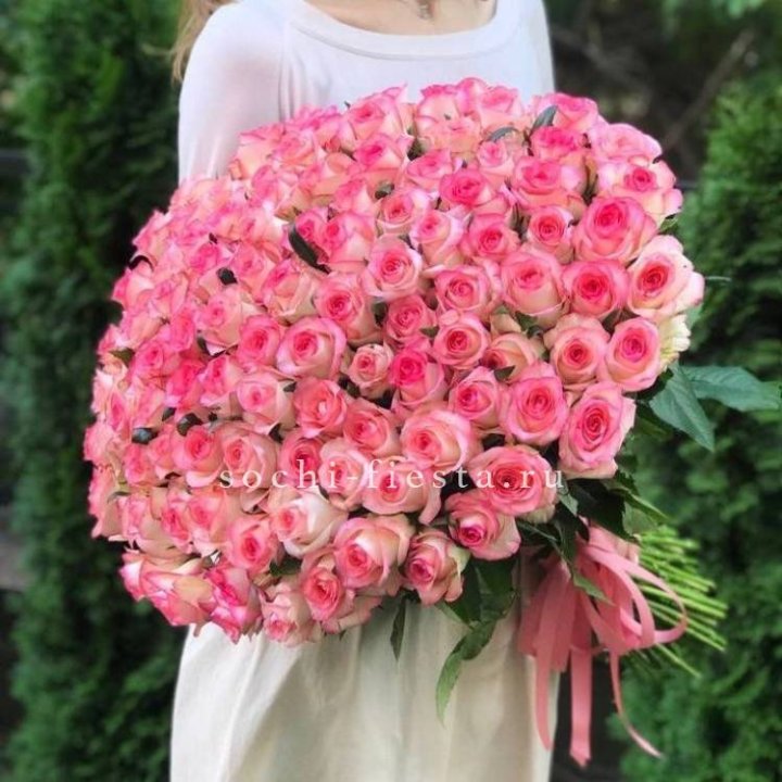 101  джумилия роза  в Сириусе