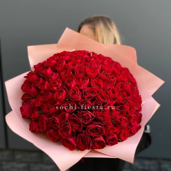 101 роза мадам ред в Сириусе