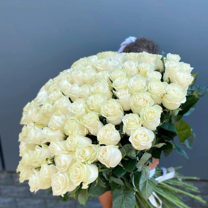 101 белая высокая роза в Сириусе