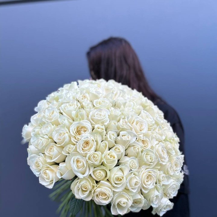Охапка из 101 белой розы  в Сириусе