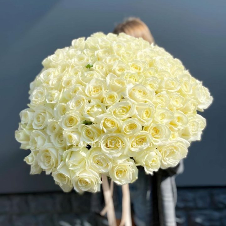Букет  из 101 белой розы  в Сириусе