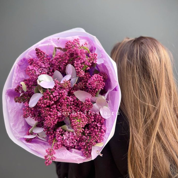 Букет сирени  в Сириусе