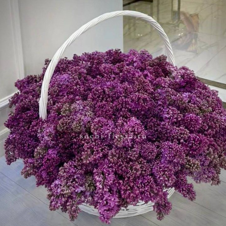 Корзина сирени в Нижнем Новгороде