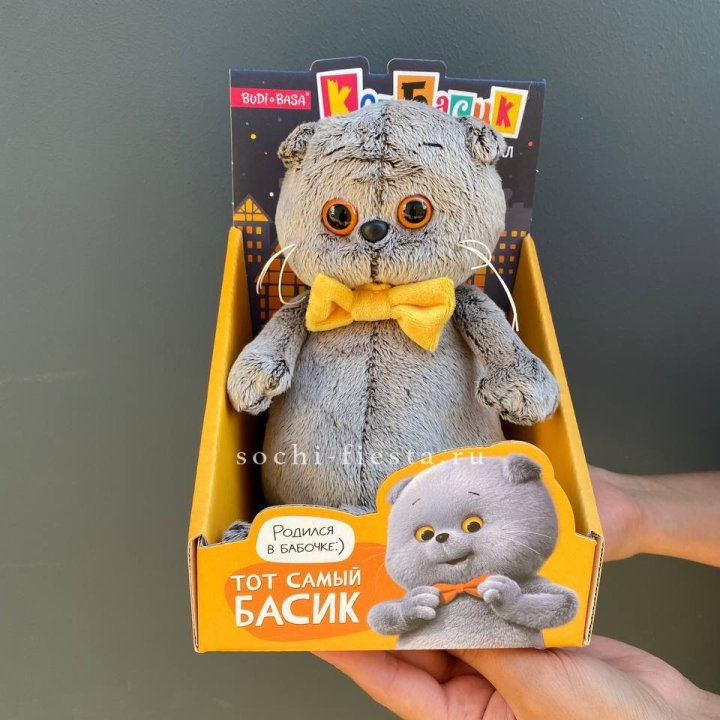 Кот Басик с бабочкой в Сириусе