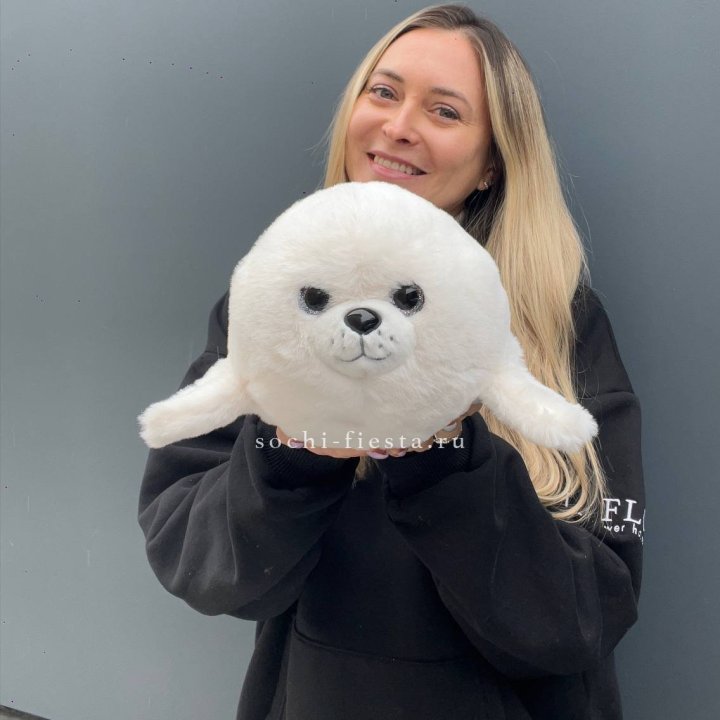 Мягкая игрушка Морской Котик в Сириусе