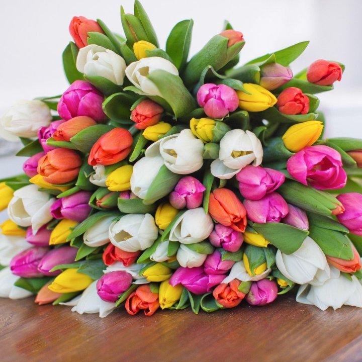 79 тюльпанов "Рандом" в Нижнем Новгороде