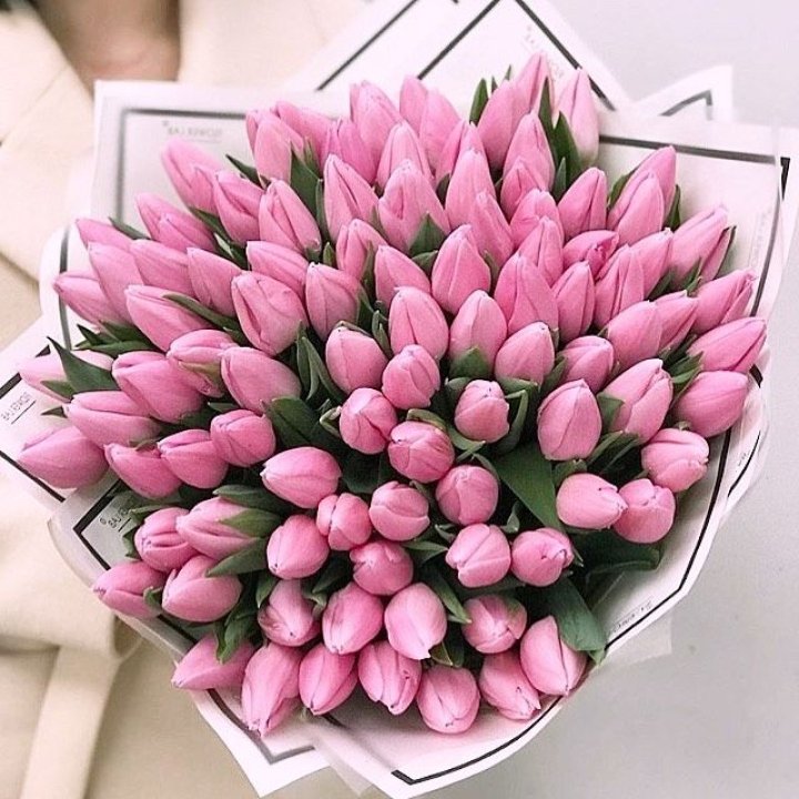 101 розовый тюльпан в белом в Нижнем Новгороде