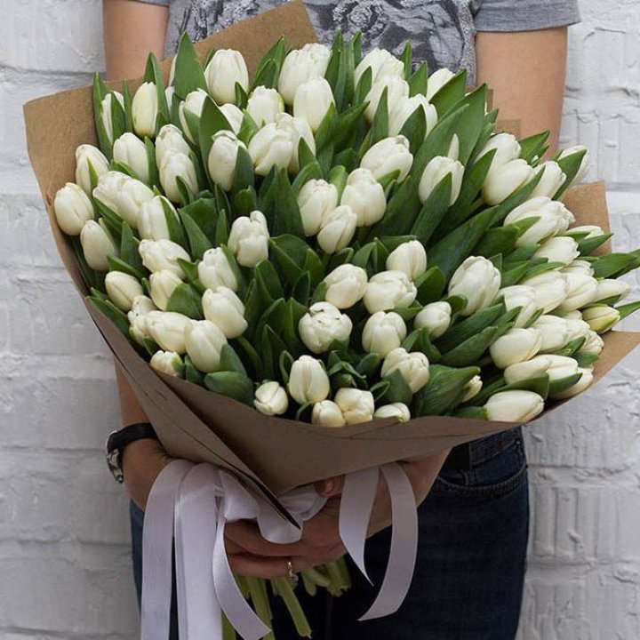 101 тюльпан сноу в Нижнем Новгороде